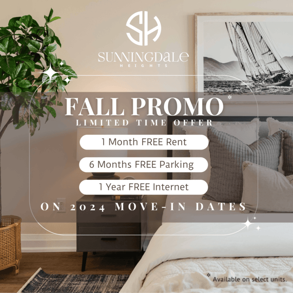 Fall Promo